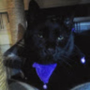 Meet your Posher, Dk